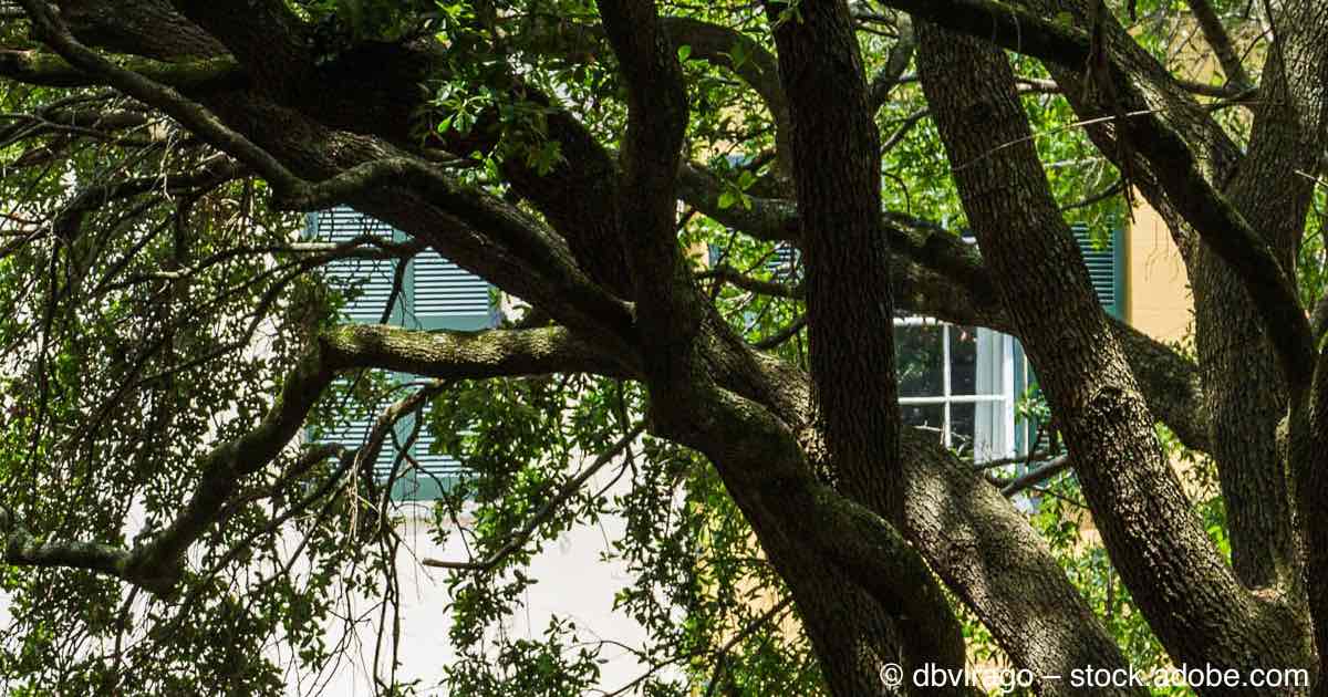 Juneteenth Walk to the River β Savannah